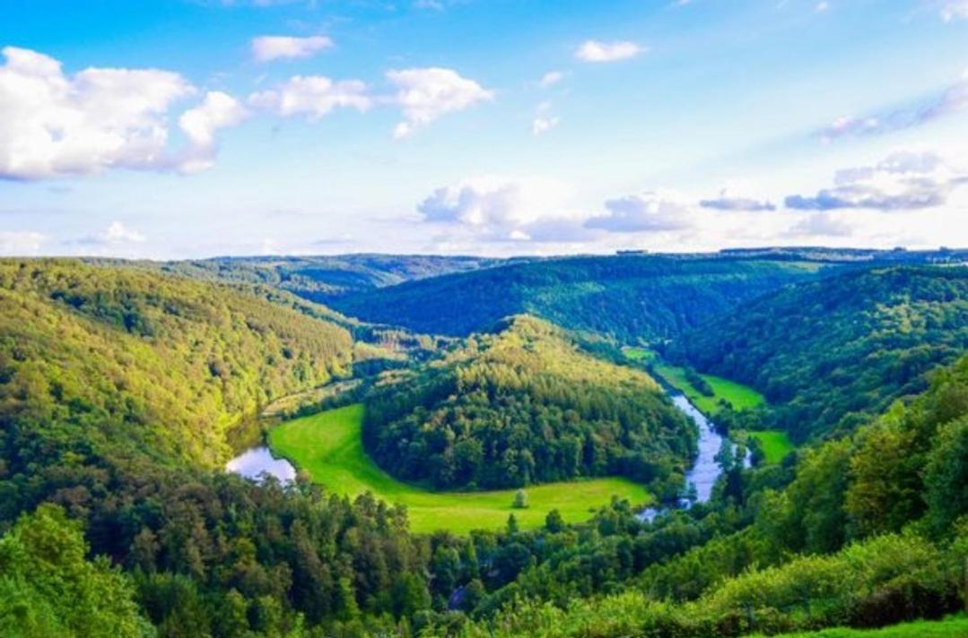 Joli Nid Au Coeur Des Ardennes Bièvre Exterior foto